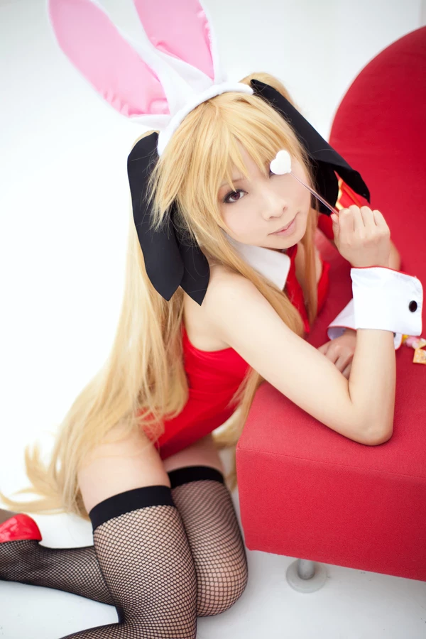 Fate Testarossa Sexy Valentine Cosplay [21P]