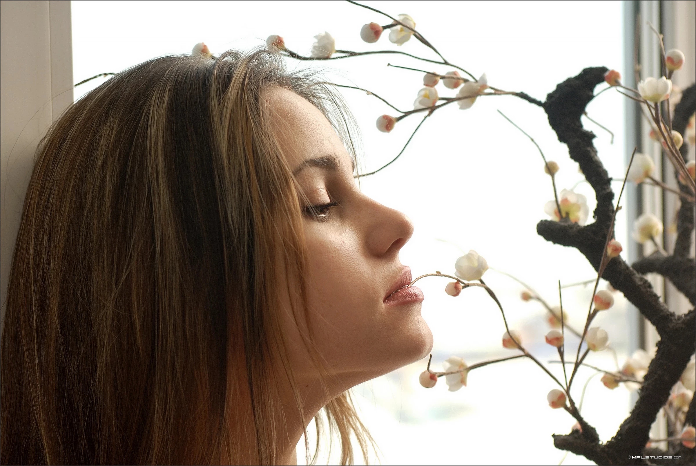 MPLstudios Anya Waiting For Spring [67P]