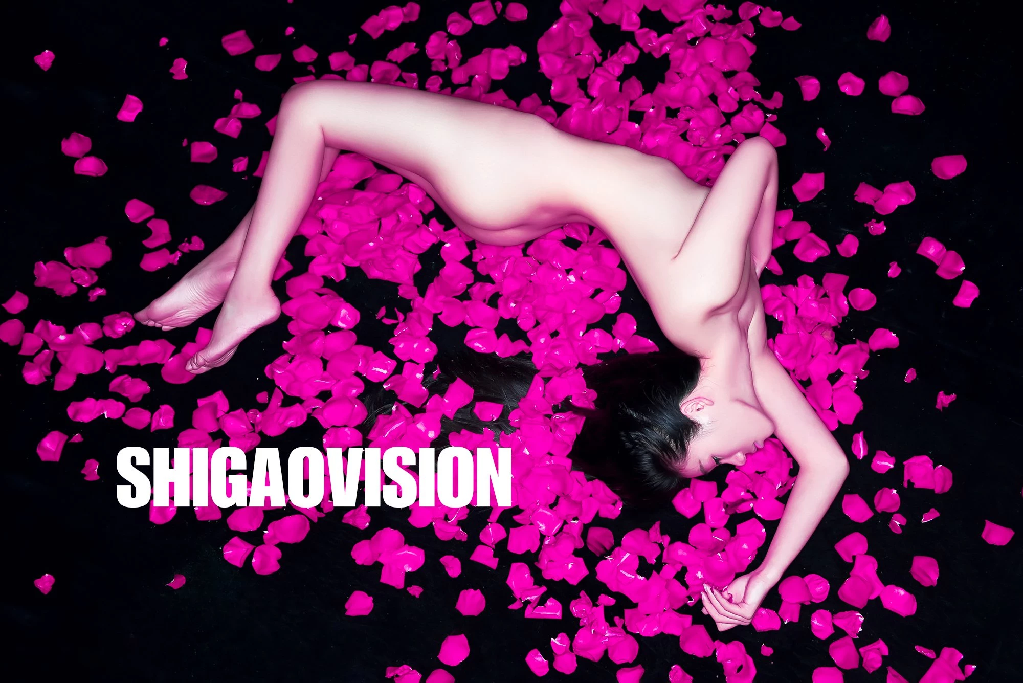 Shigaovision 影集 [2][100P]