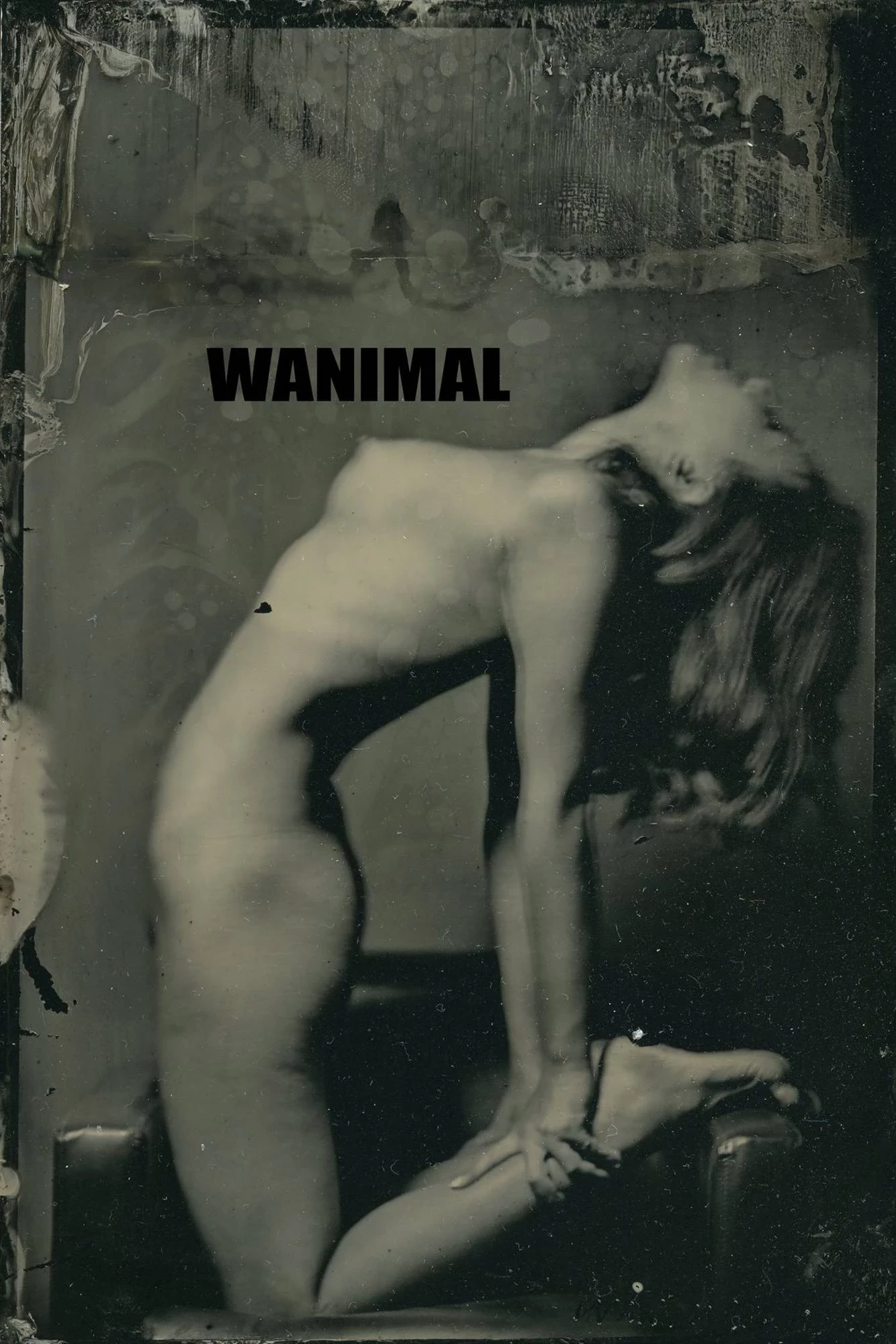 [WANIMAL]官方出品2019年7月 72P [72P]