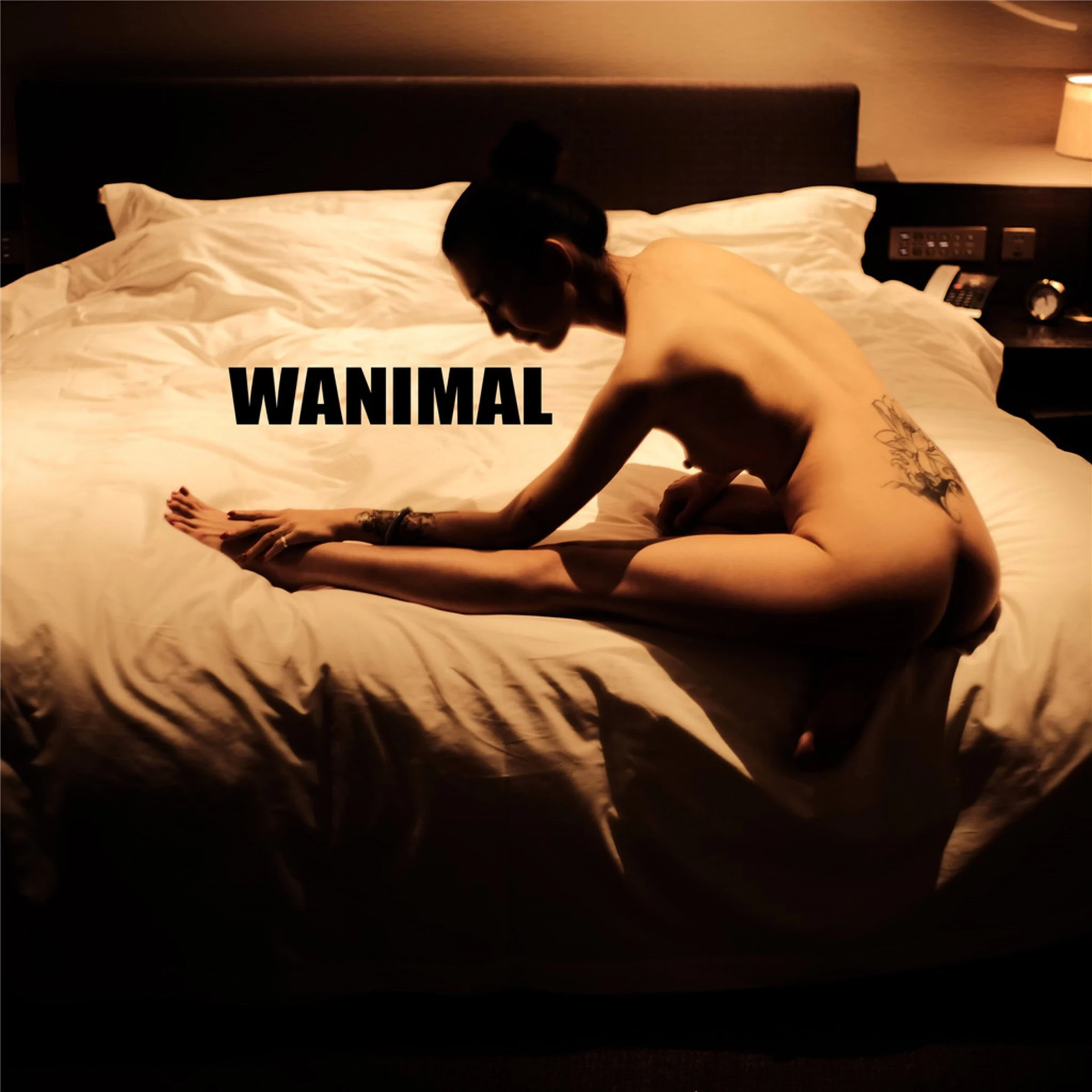 [WANIMAL王动系列]2019. 06月VIP大尺度写真1[117P]