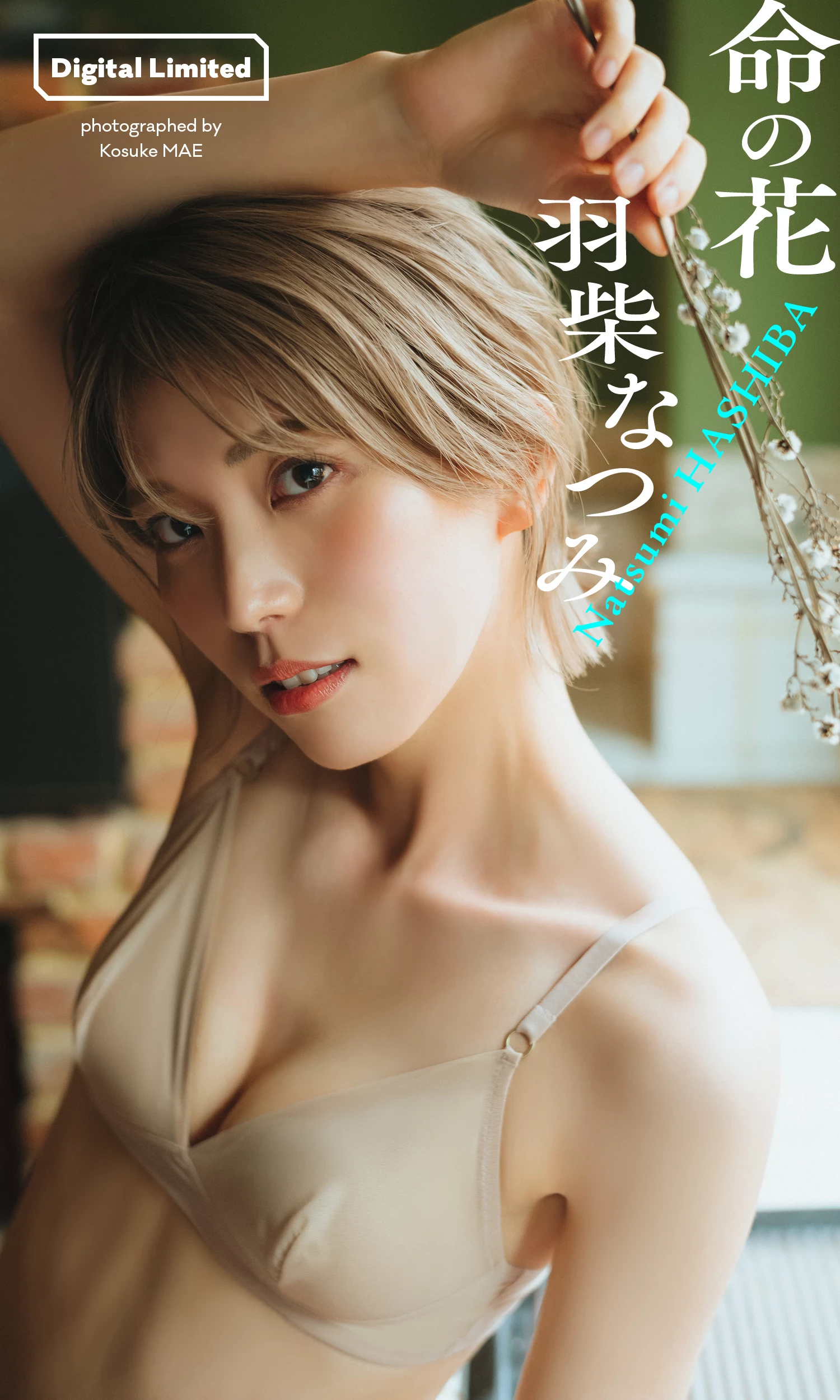 青岛心[绝狼ZERO寻海爱丽丝][Photobook] [デジタル限定]写真集“纯洁” [341P]