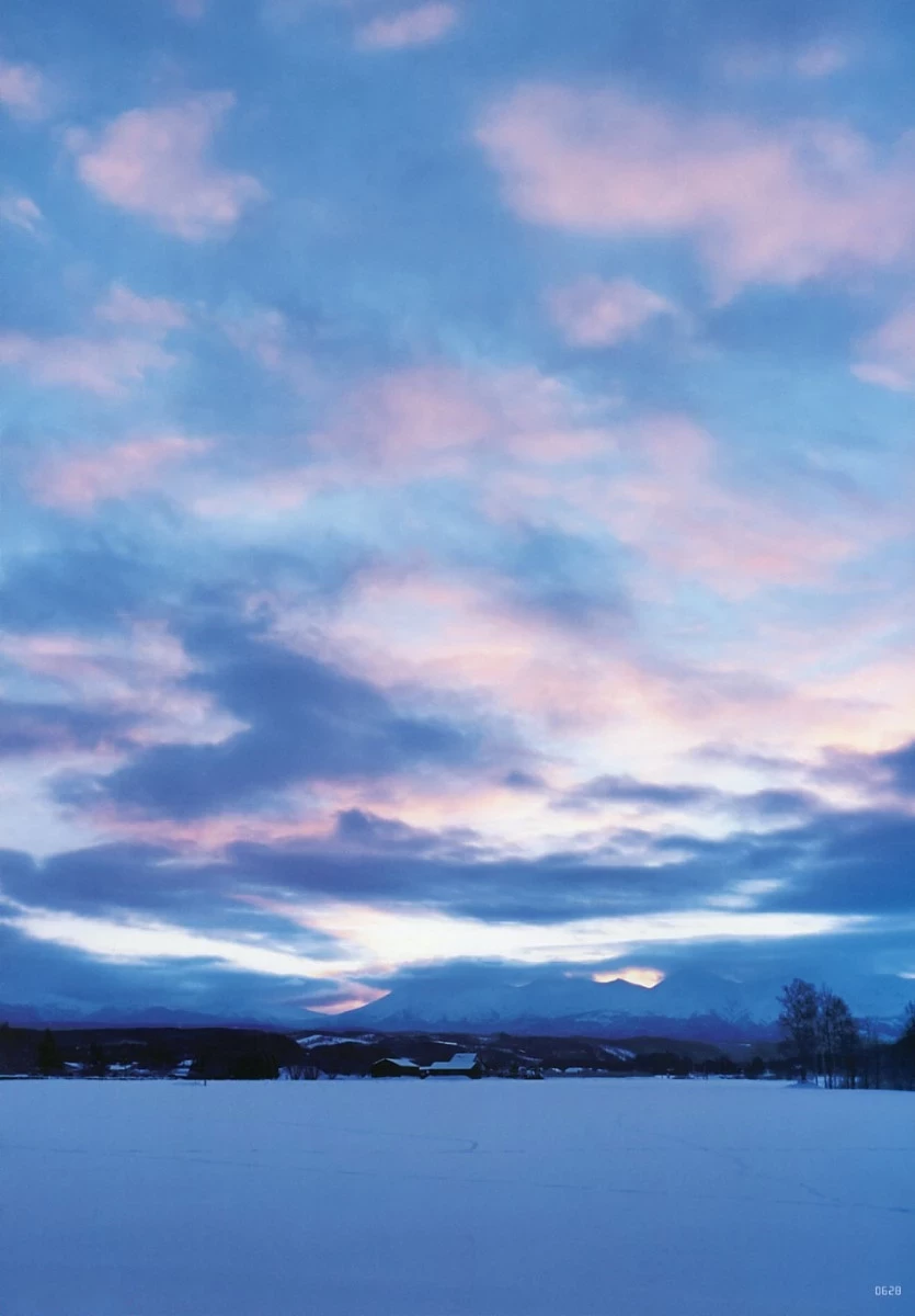 杉本有美写真集 HEART [786P]