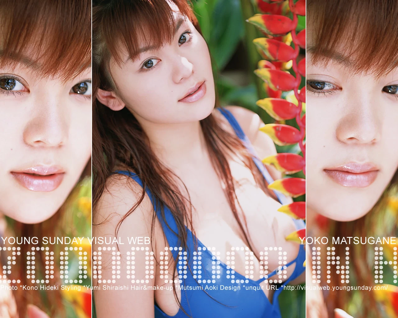 松金洋子Yoko Matsugane[YS Web] Vol.060 Yoko Matsugane - Zoooooooom in H! [385P]