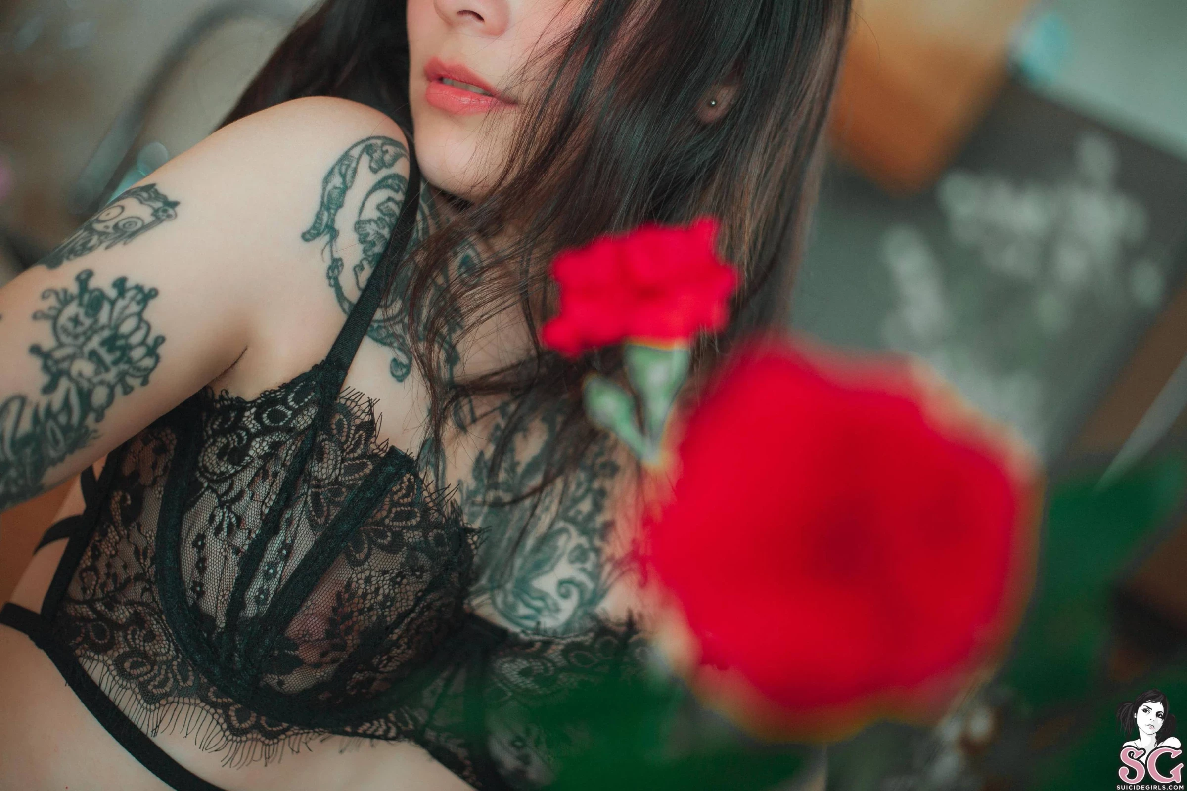 [网搜大尺度系列]SuicideGirls Anne - Feel My Flou[55P]