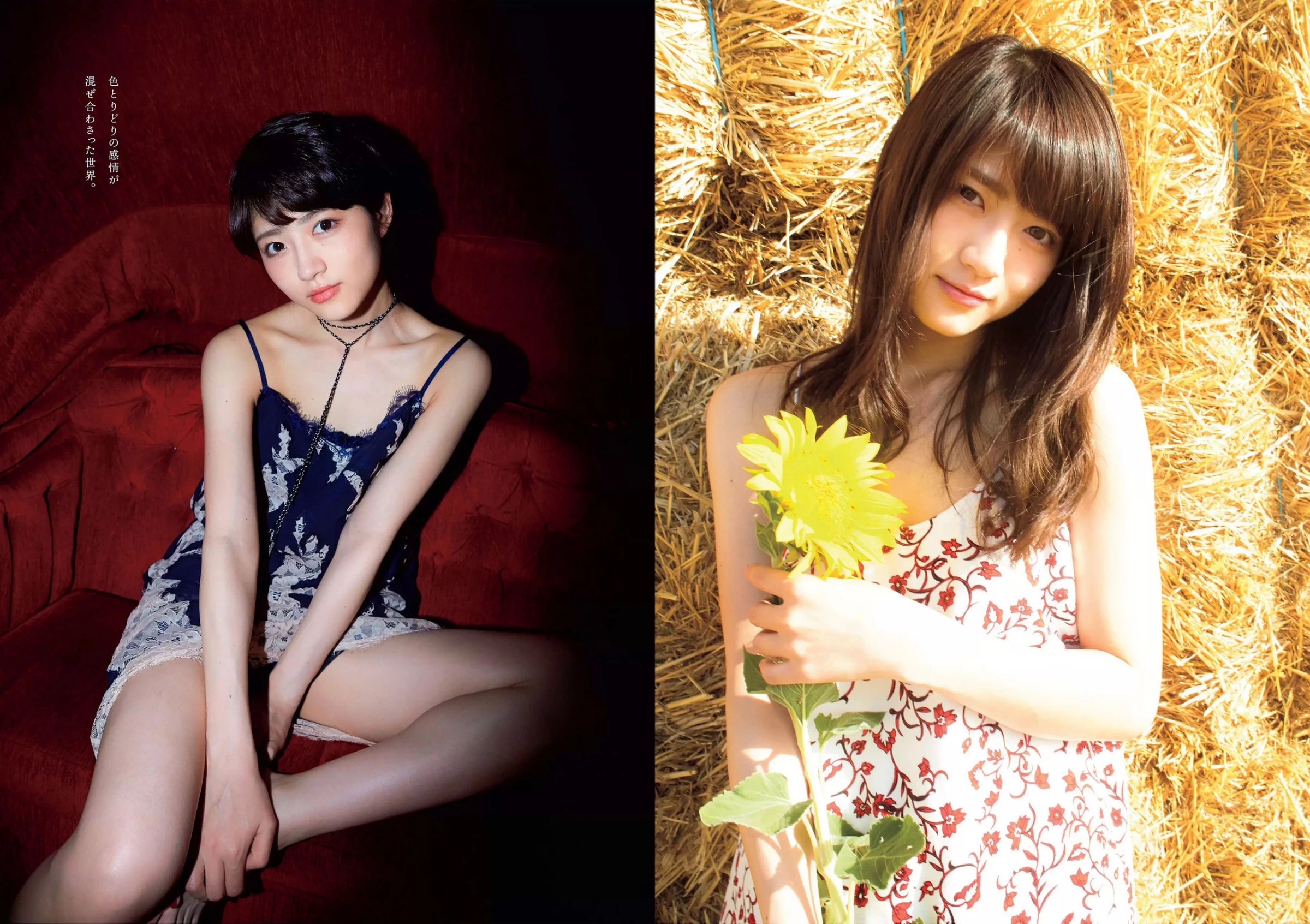 Weekly Playboy 2017年No.47 桥本マナミ 安藤咲桜 高田夏帆 若月佑美 铃木友菜 园都 黒泷まりあ