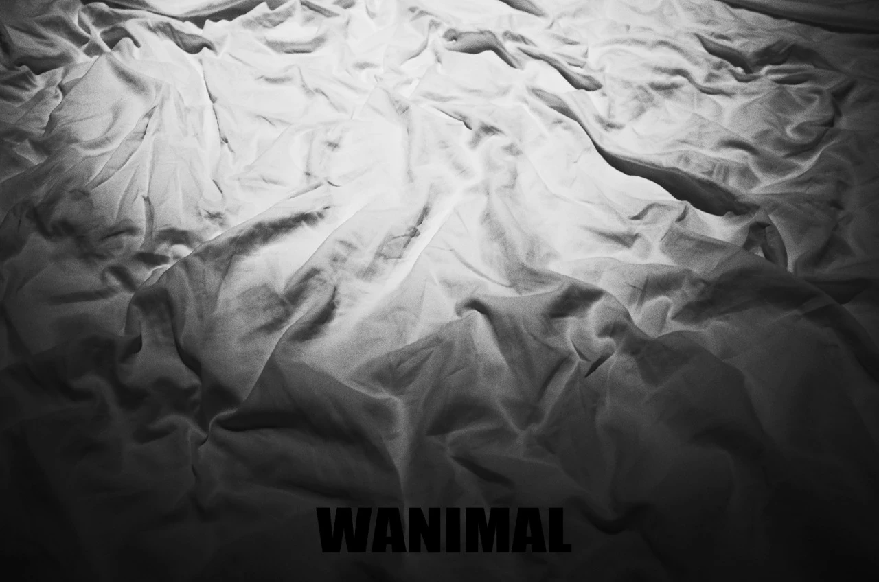 [WANIMAL王动系列]Tumblr博客写真作品VIP大尺度全集21[103P]