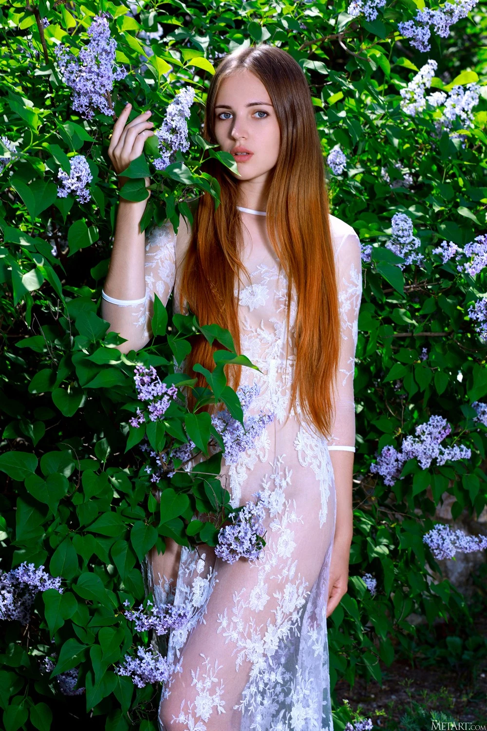 [paxxpa] - Hailey - Lilacs [128P]