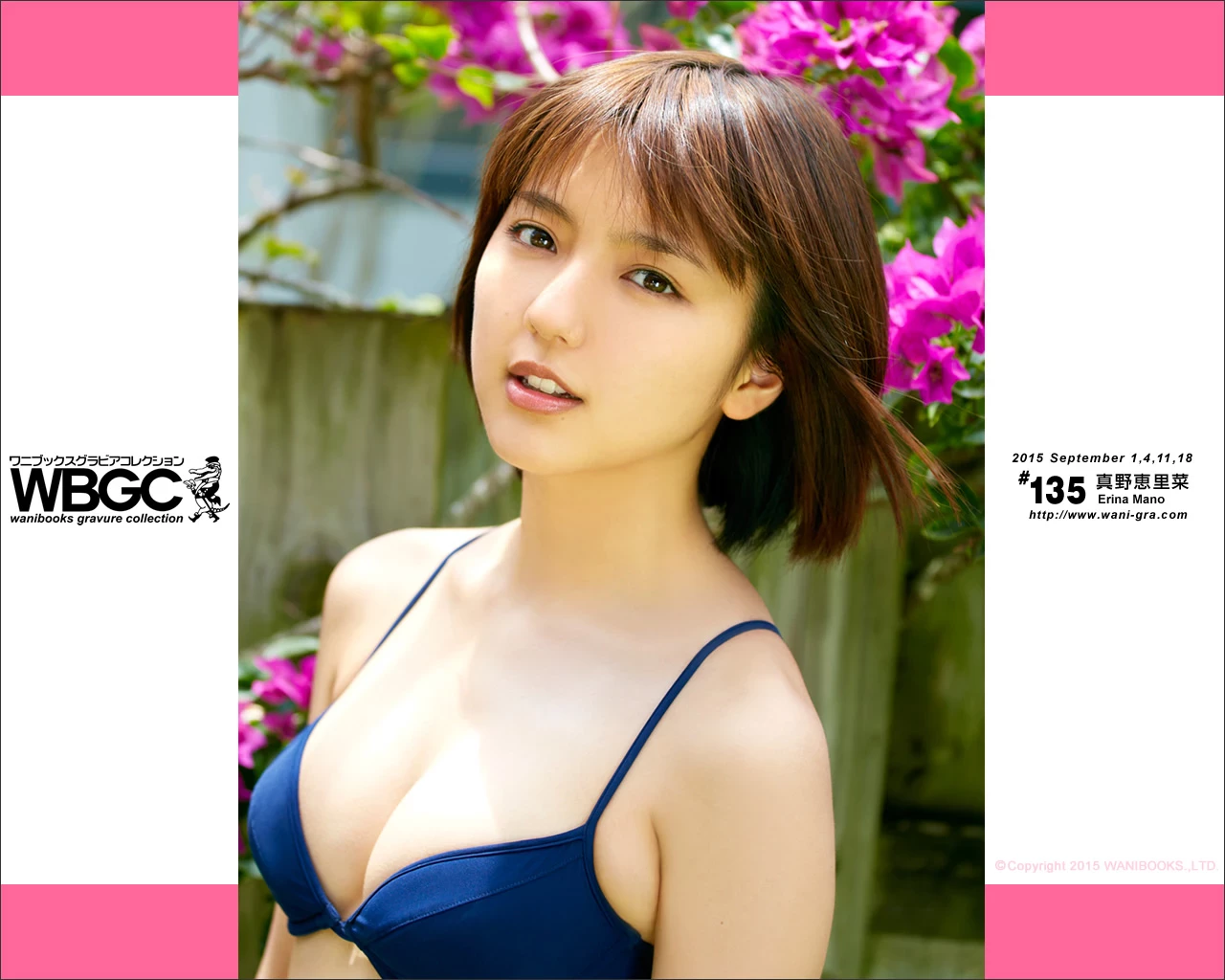 真野恵里菜[Wanibooks] 2015年05月号 #131 Erina Mano [577P]