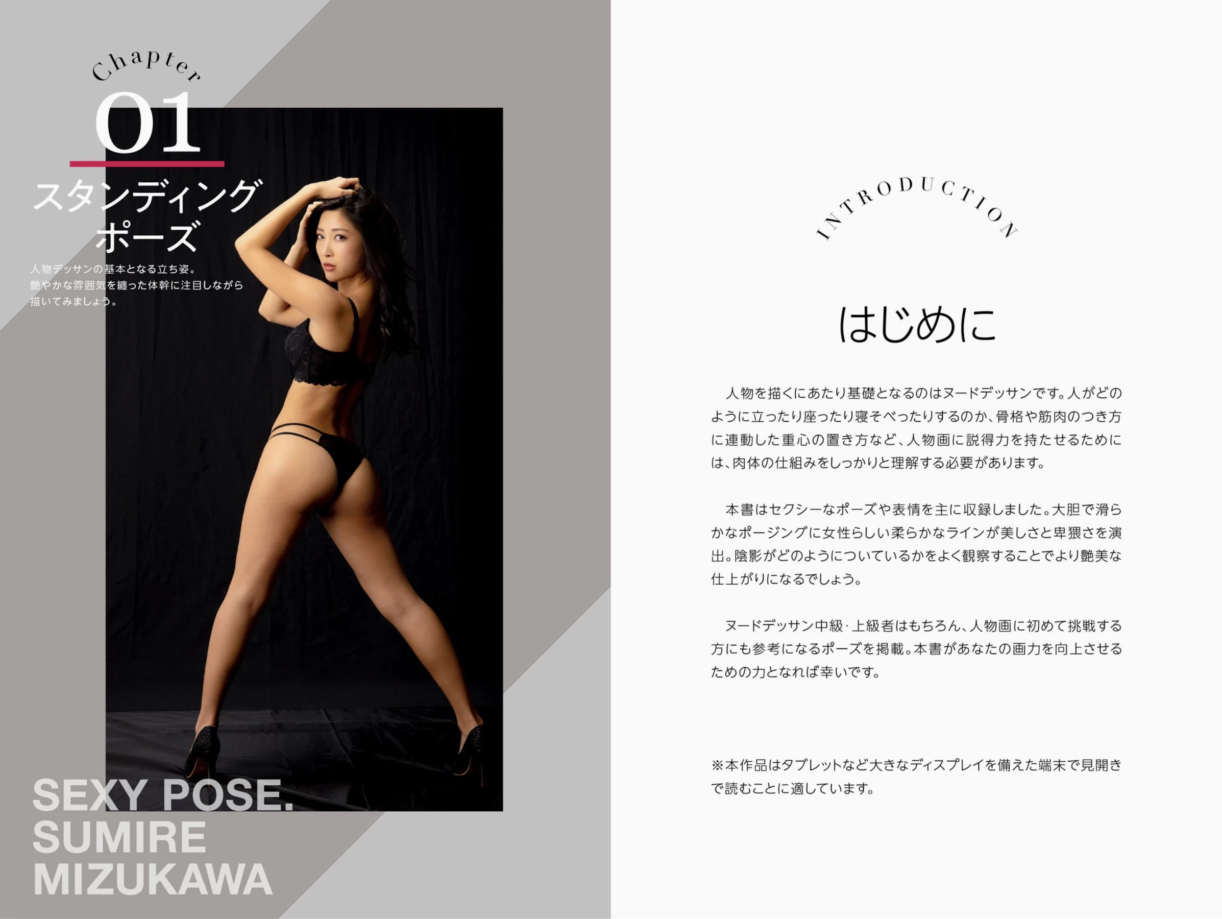 水川菫[水川スミレ][Photobook] 絶対的セクシーポーズブック [55P]