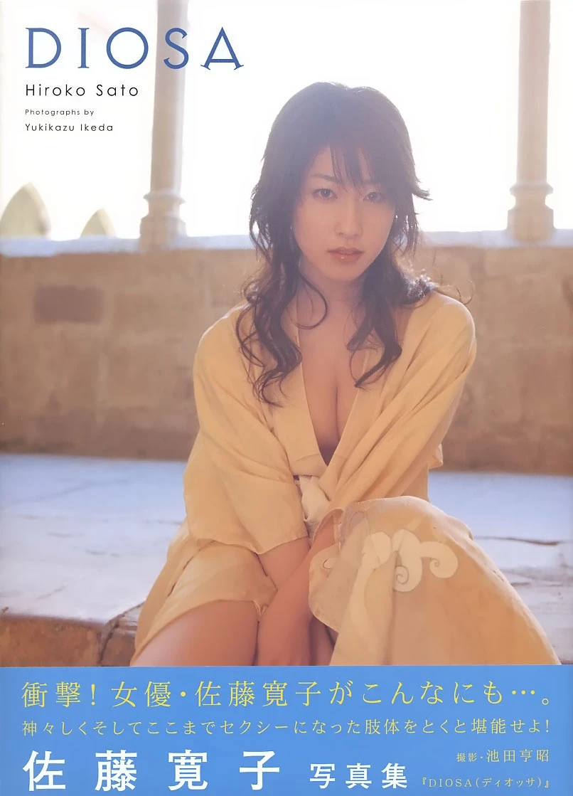 佐藤寛子[Photobook] - DIOSA [377P]