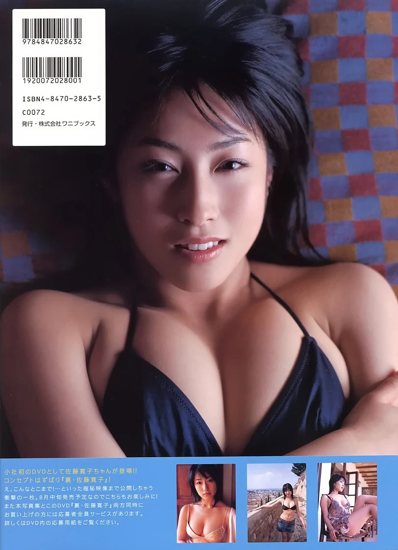 佐藤寛子[Photobook] - DIOSA [377P]