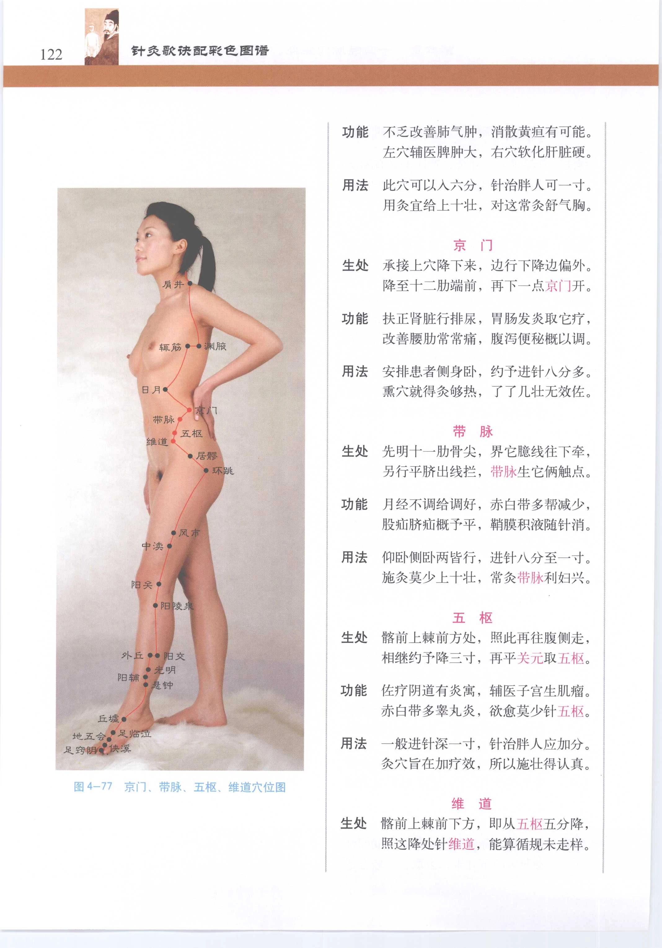 针灸歌诀配彩色图谱 [徐玉琢]Super Pose Book [398P]