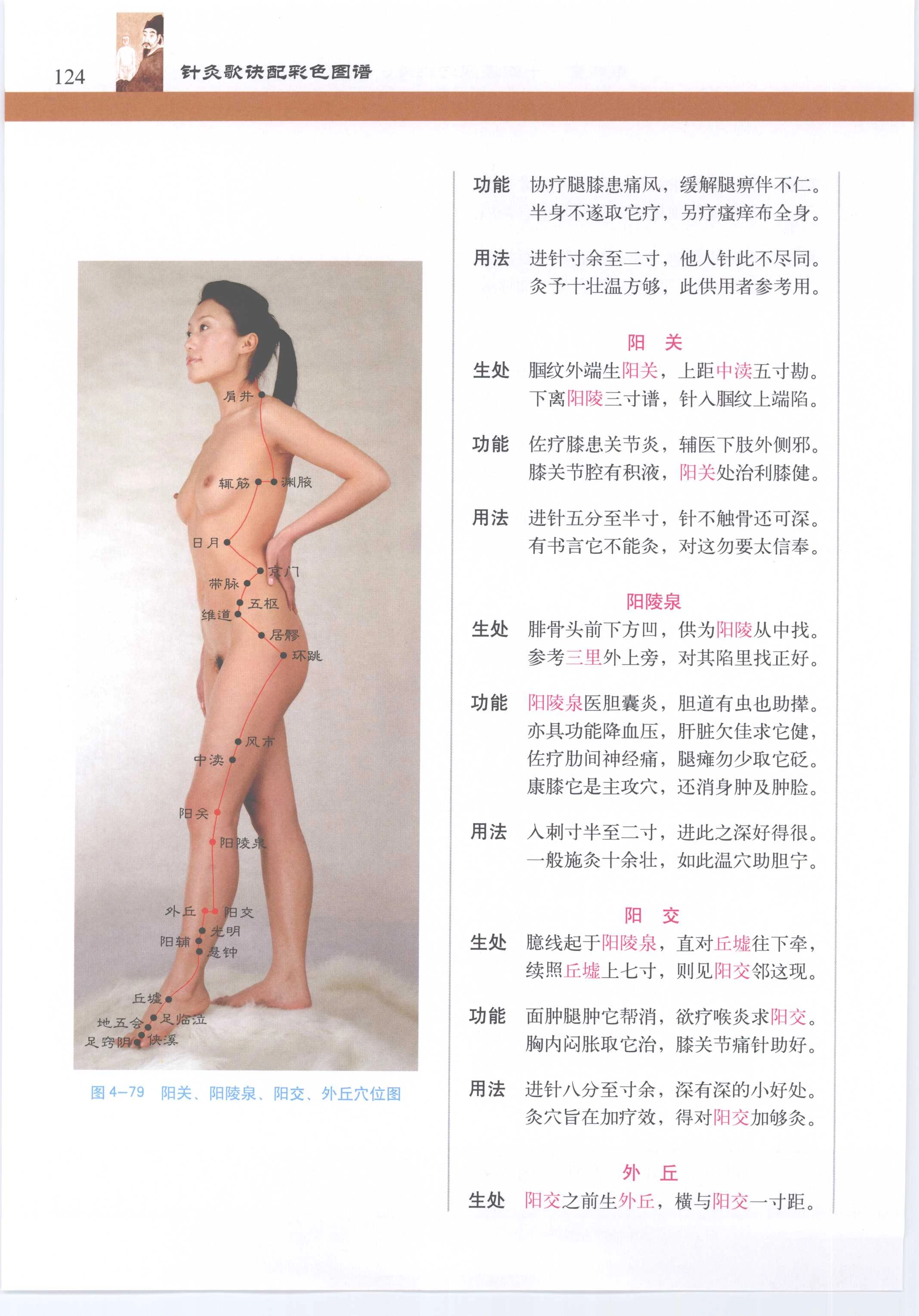 针灸歌诀配彩色图谱 [徐玉琢]Super Pose Book [398P]