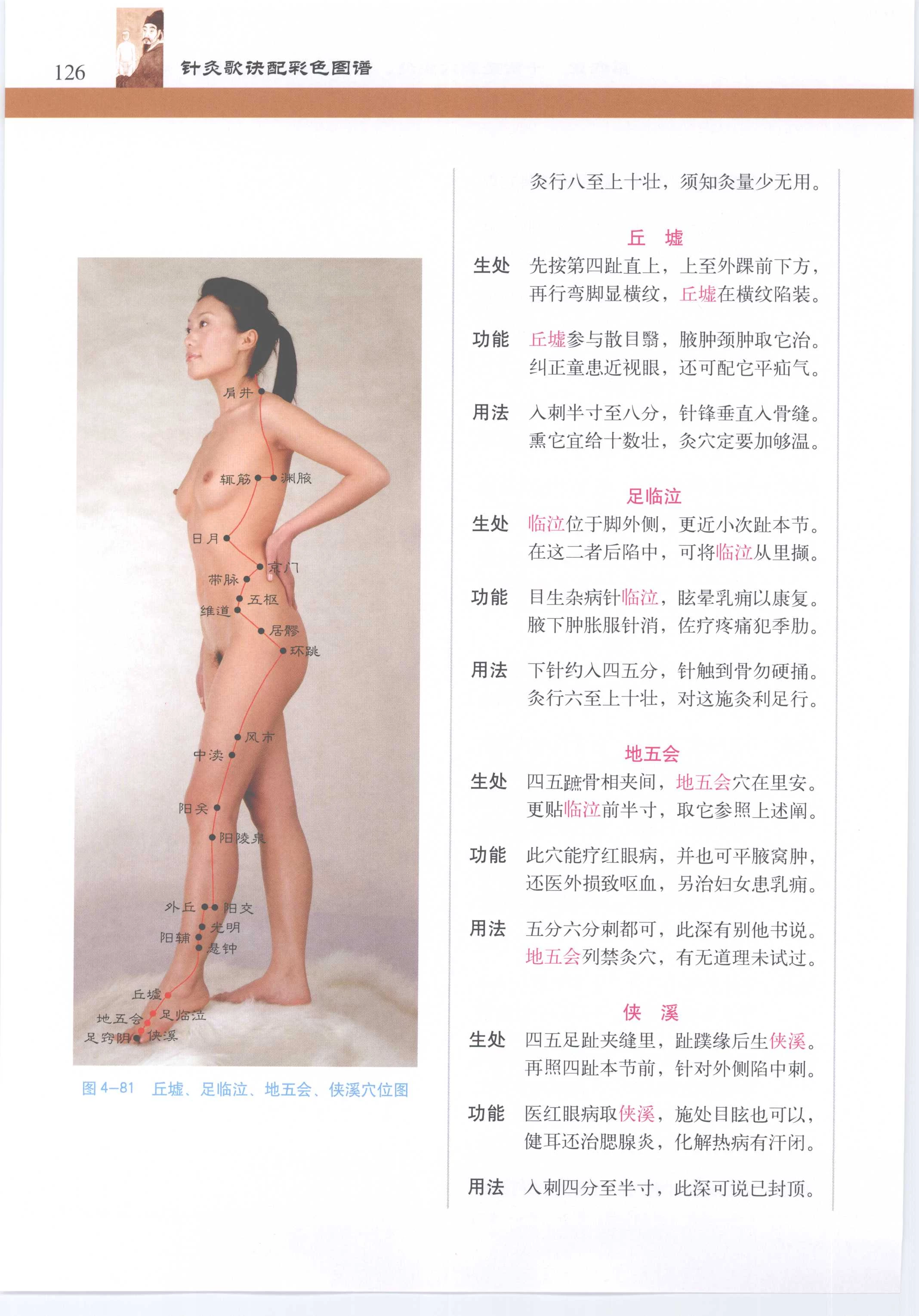 针灸歌诀配彩色图谱 [徐玉琢]Super Pose Book [398P]