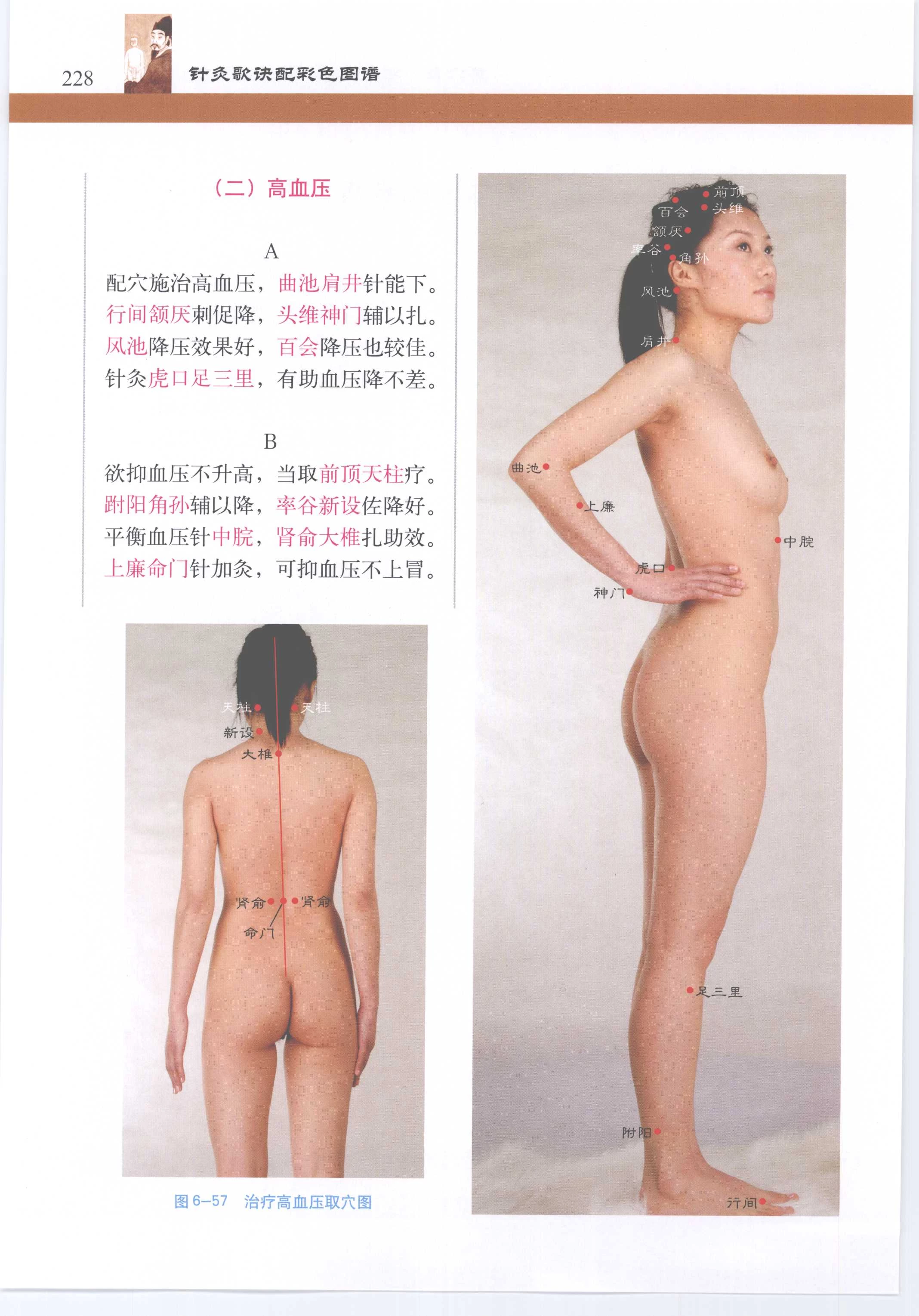 针灸歌诀配彩色图谱 [徐玉琢]Super Pose Book [398P]