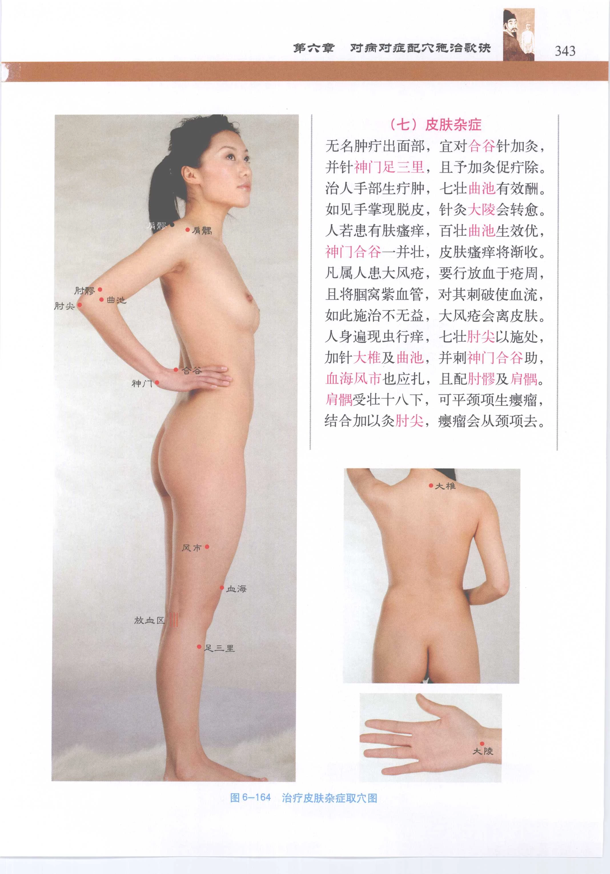 针灸歌诀配彩色图谱 [徐玉琢]Super Pose Book [398P]