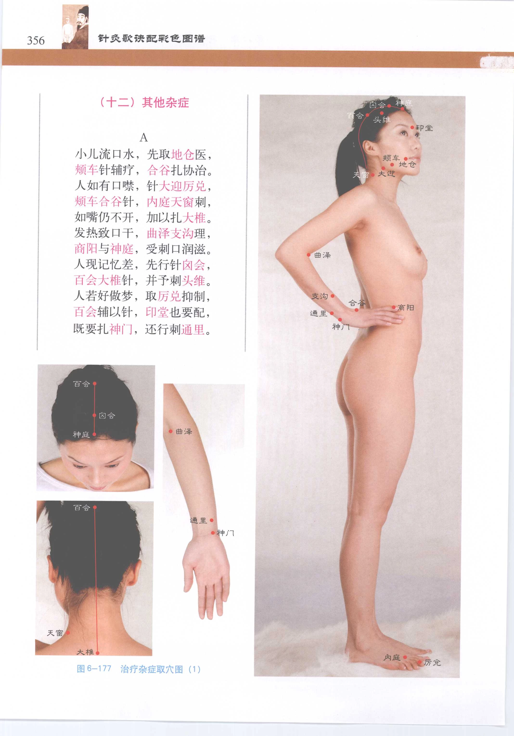 针灸歌诀配彩色图谱 [徐玉琢]Super Pose Book [398P]