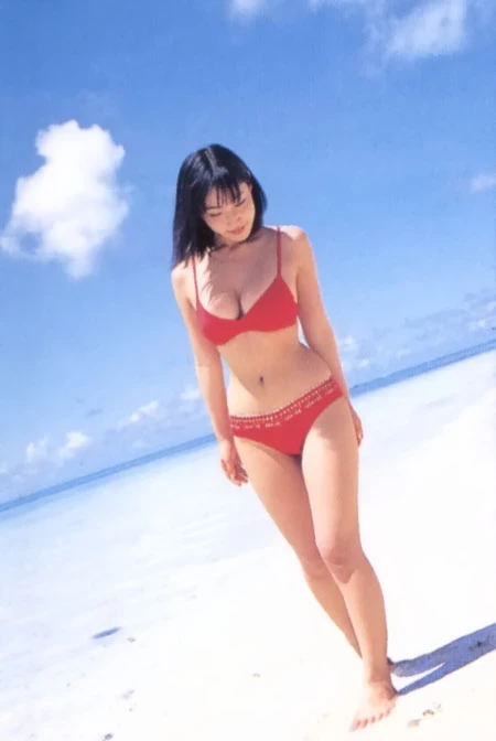 佐藤寛子[Photobook] - 情热 [732P]