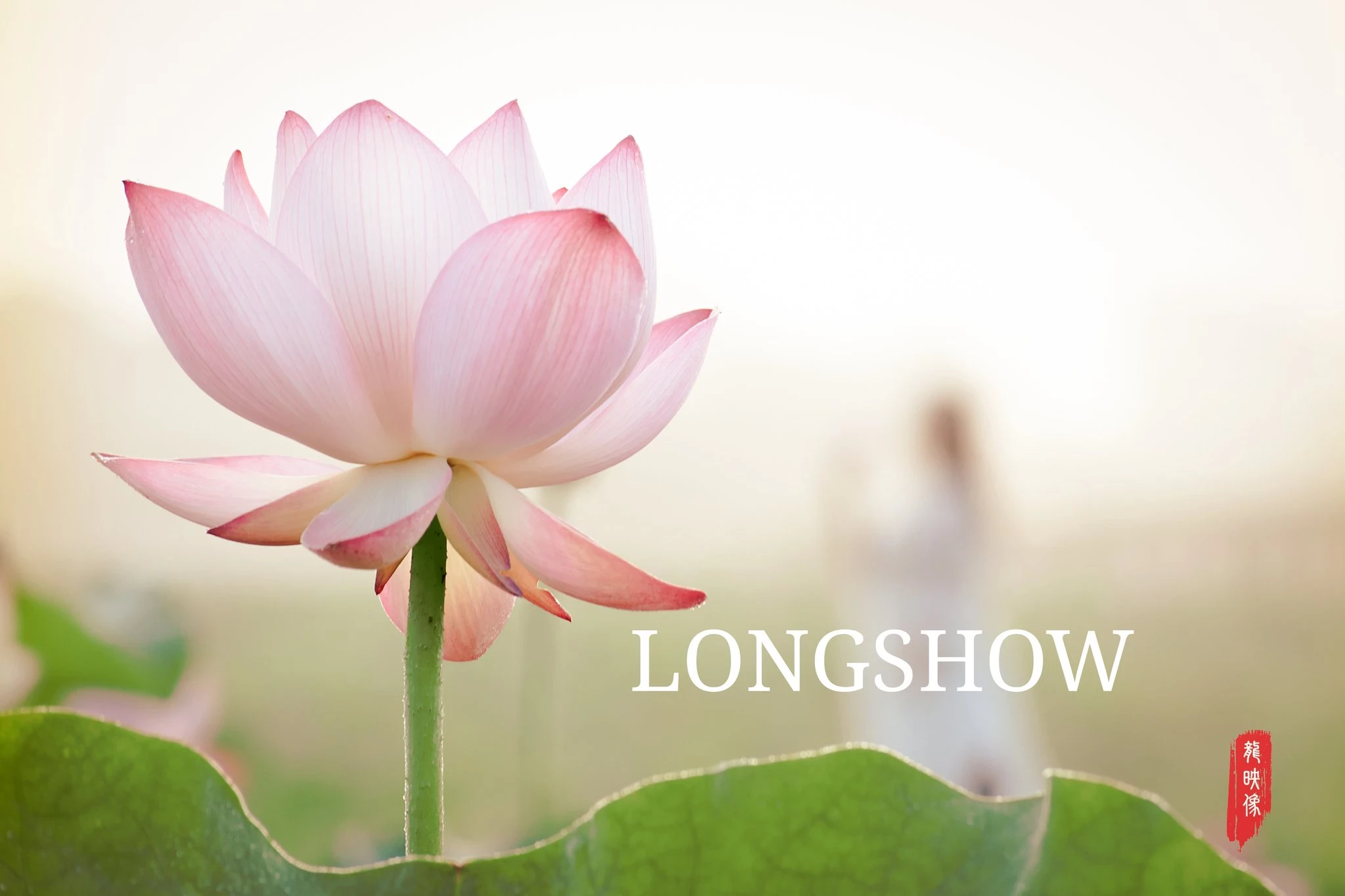 加藤龙 LongShow 摄影作品 [459P]