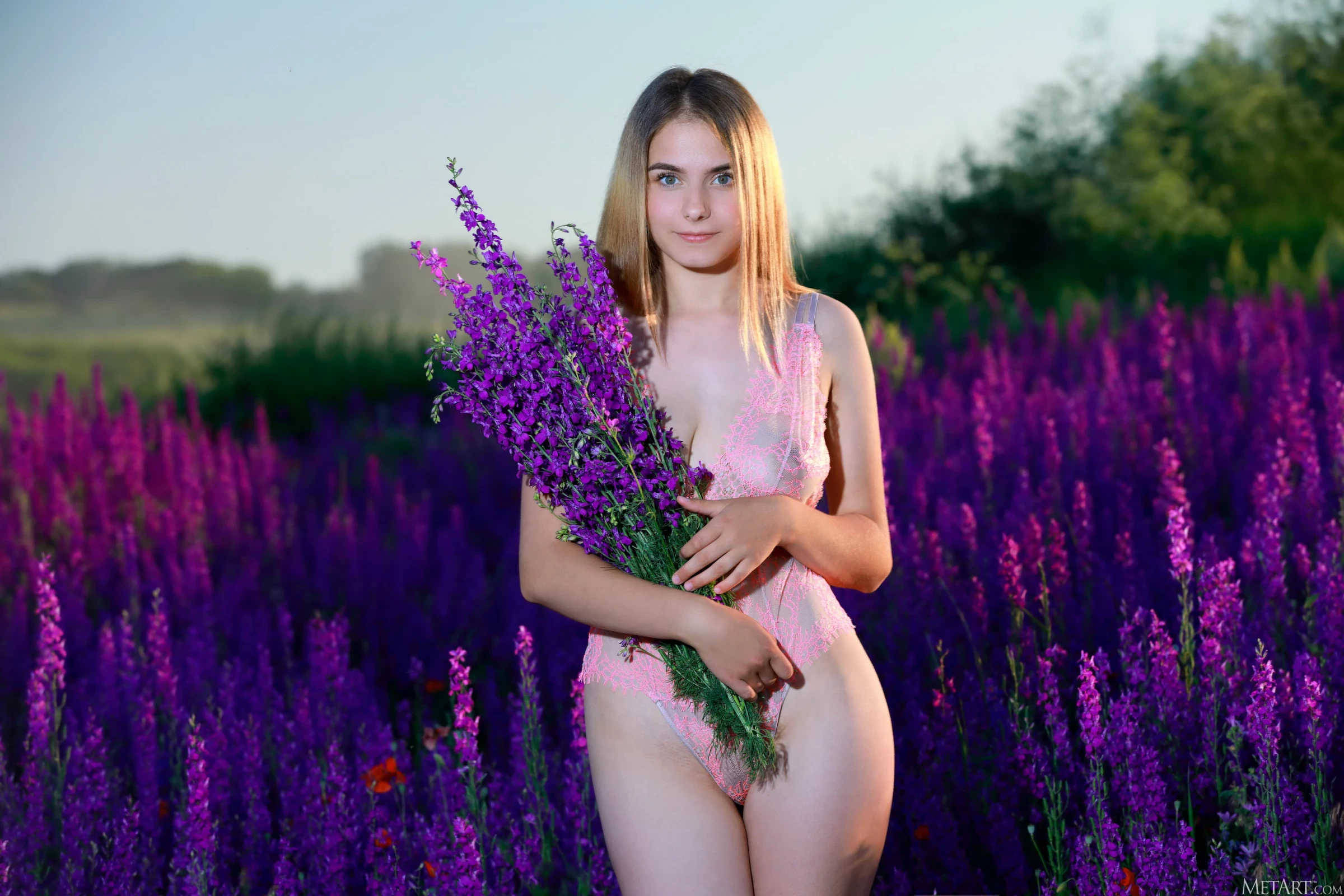 Dakota Pink - Lavender Fields [125P]