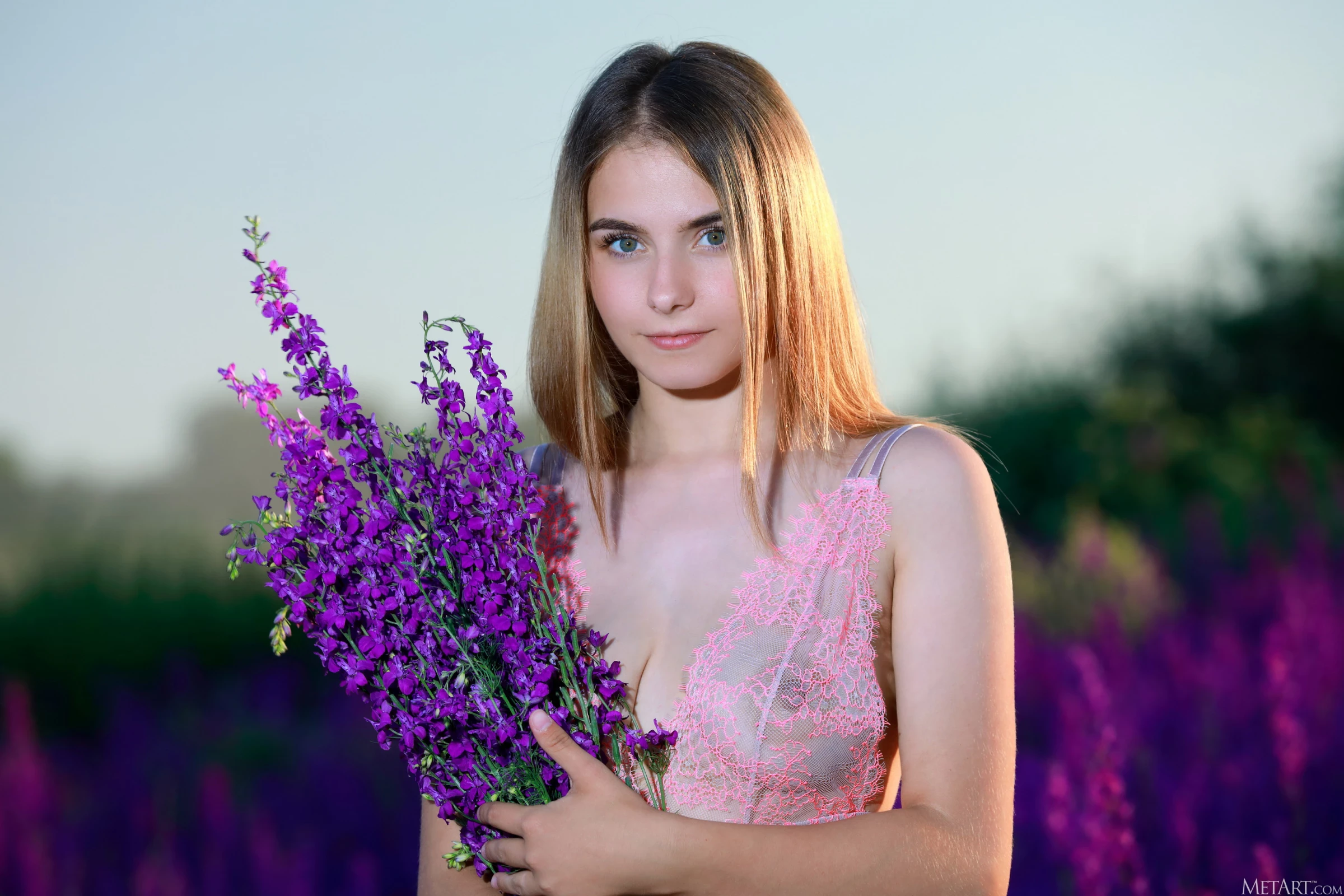 Dakota Pink - Lavender Fields [125P]