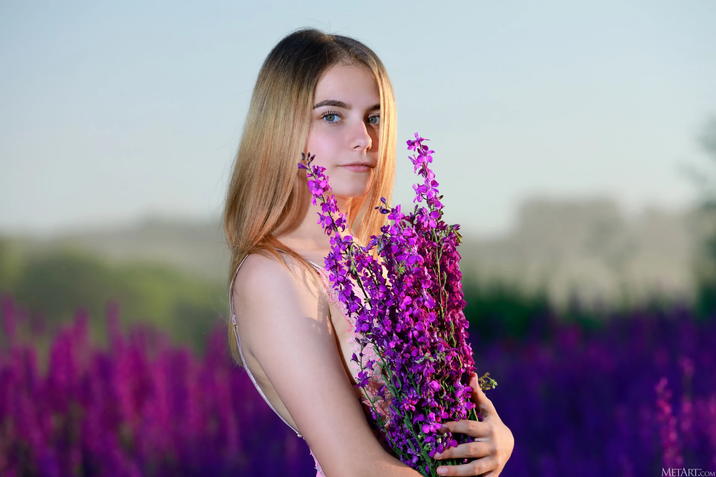 Dakota Pink - Lavender Fields [125P]