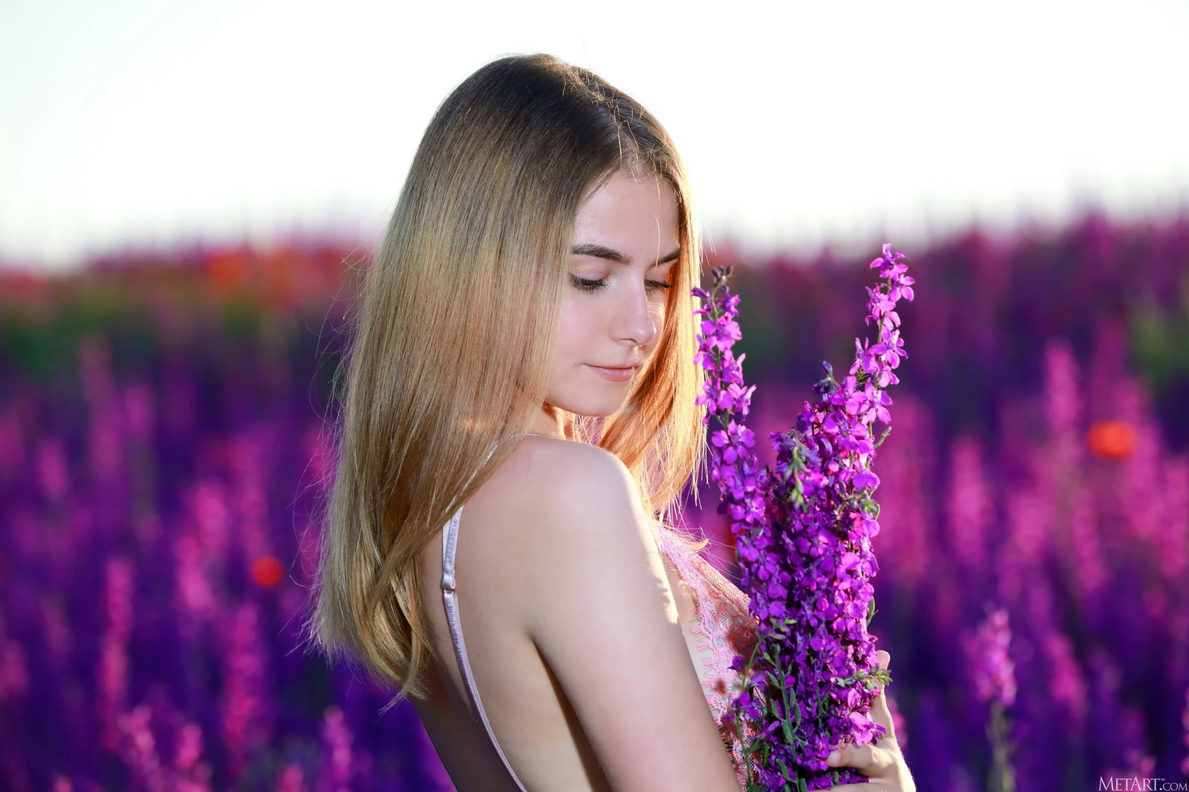 Dakota Pink - Lavender Fields [125P]