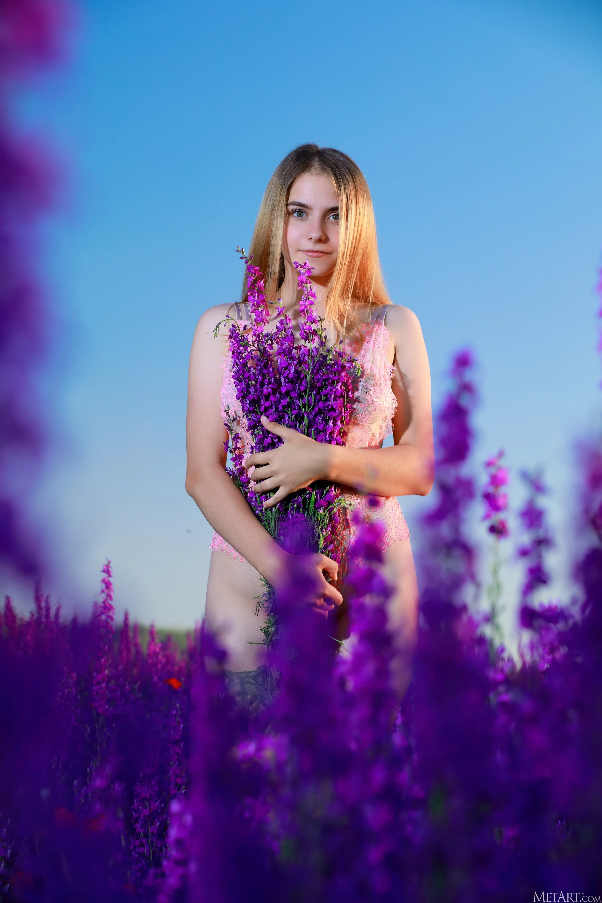 Dakota Pink - Lavender Fields [125P]