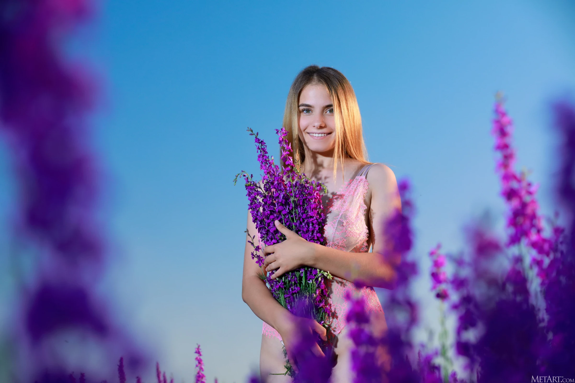 Dakota Pink - Lavender Fields [125P]