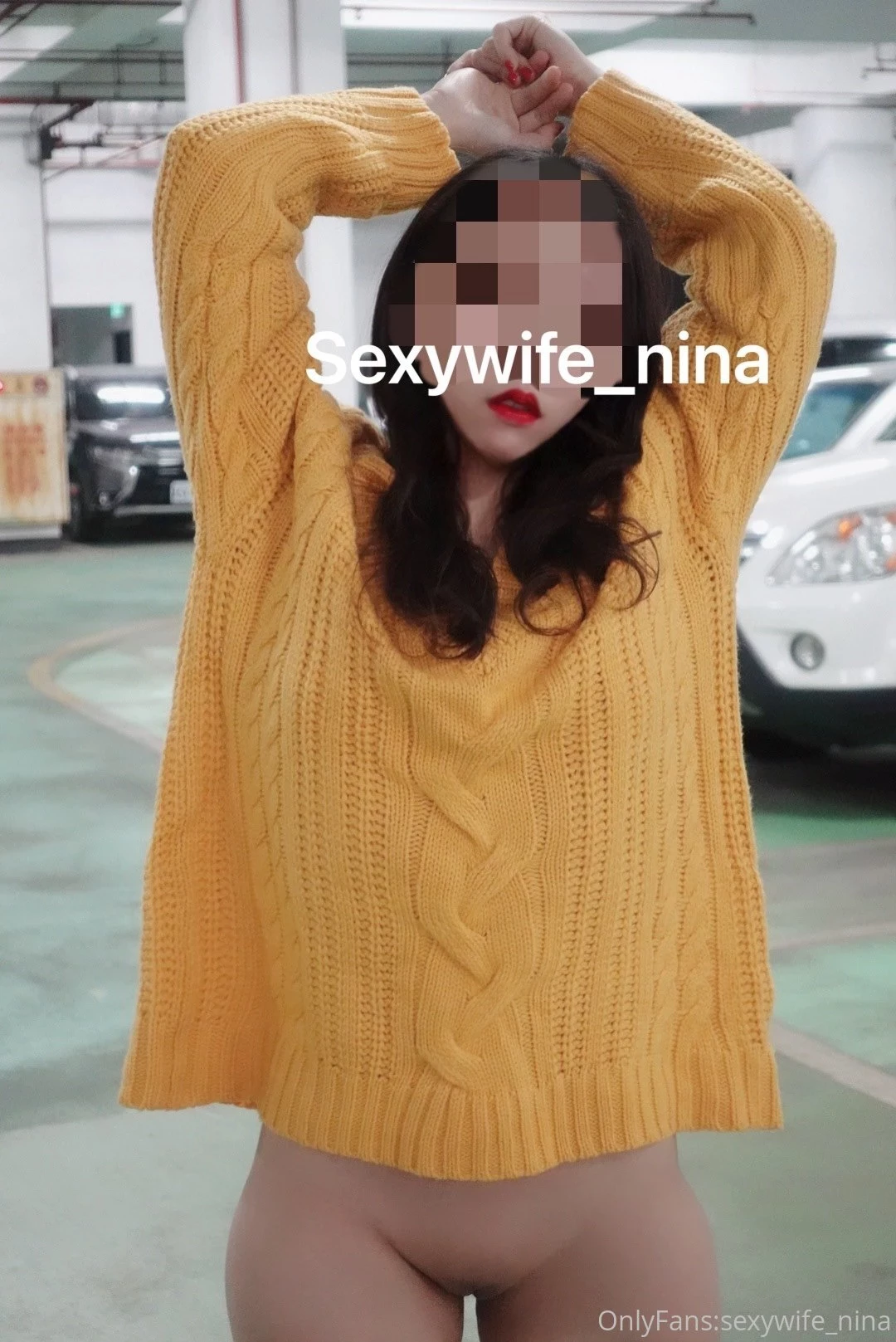 [OnlyFans系列]福利姬nina《推特合集》大尺度VIP福利帖1[100P]