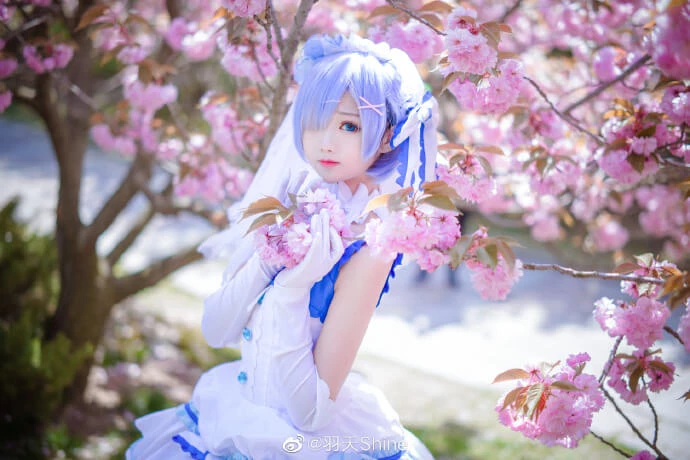 從零開始蕾姆花嫁cos,美萌可愛 cn羽天Shine [12P]