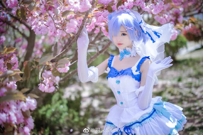 從零開始蕾姆花嫁cos,美萌可愛 cn羽天Shine [12P]